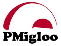 لوگوی کارگاه عملی مدیریت پروژه PMigloo