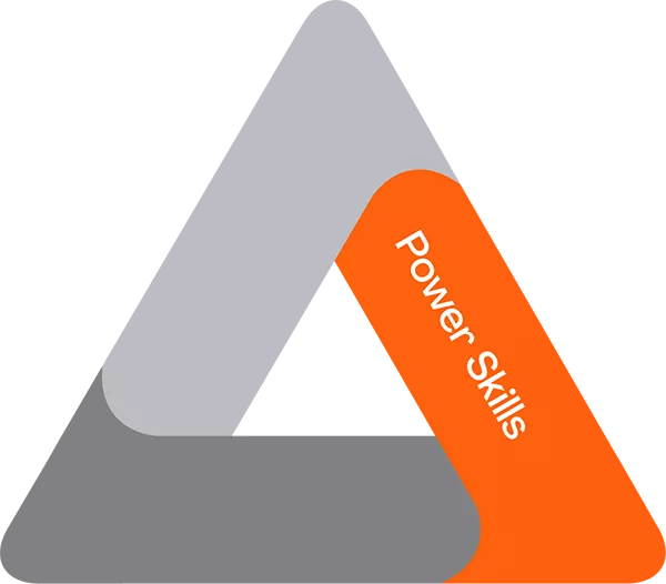 pmi_talent-triangle_power_skills