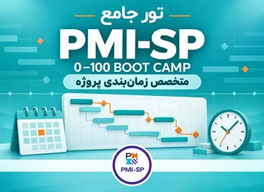 PMI-SP-1
